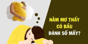 nằm mơ thấy có bầu đánh số mấy